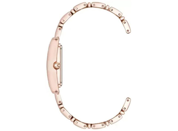 ANNE KLEIN AK/5168RGRG, фото 2 | Интернет-магазин оригинальных часов и аксессуаров