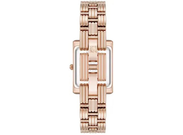 ANNE KLEIN AK/5168RGRG, фото 3 | Интернет-магазин оригинальных часов и аксессуаров