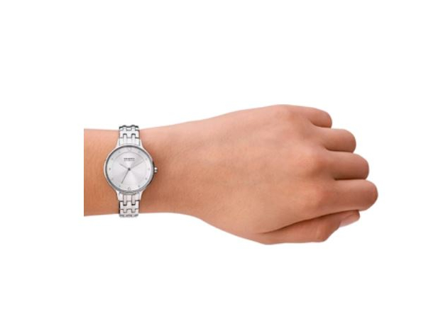 Skagen SKW3126, фото 4 | Интернет-магазин оригинальных часов и аксессуаров