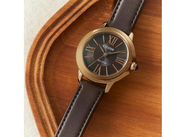 CITIZEN EM1163-09X, фото 5 | Интернет-магазин оригинальных часов и аксессуаров