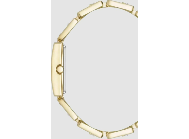 ANNE KLEIN AK/4156HLGB, фото 2 | Интернет-магазин оригинальных часов и аксессуаров