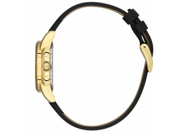 Daniel Klein DK.1.13822-4, фото 2 | Интернет-магазин оригинальных часов и аксессуаров