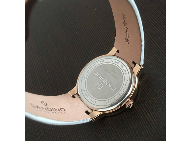 Candino C4598/1, фото 2 | Интернет-магазин оригинальных часов и аксессуаров