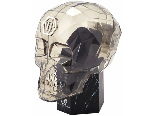 Philipp Plein Ppwmfa0325 DATE SUPERLATIVE GENT, фото 5 | Интернет-магазин оригинальных часов и аксессуаров