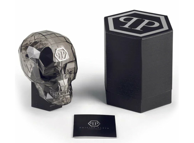 Philipp Plein Ppwmfa0325 DATE SUPERLATIVE GENT, фото 6 | Интернет-магазин оригинальных часов и аксессуаров