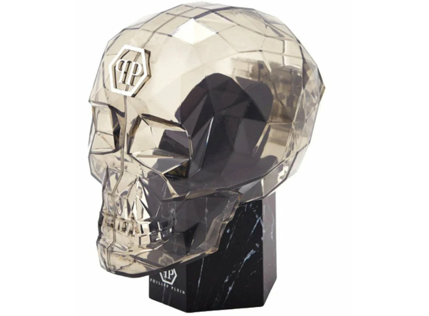 Philipp Plein Ppwnfa0325 DATE SUPERLATIVE, фото 5 | Интернет-магазин оригинальных часов и аксессуаров