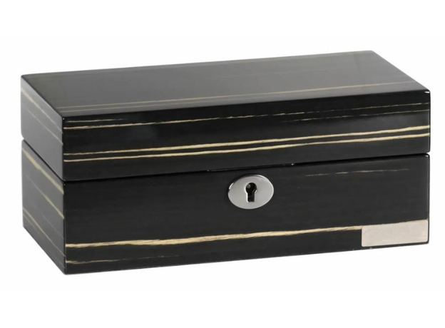 Шкатулка Salvadore 2023WB-3W, фото 2 | Интернет-магазин оригинальных часов и аксессуаров