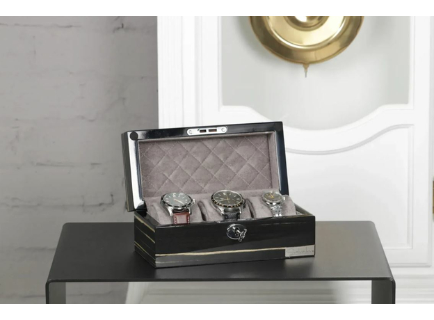 Шкатулка Salvadore 2023WB-3W, фото 6 | Интернет-магазин оригинальных часов и аксессуаров