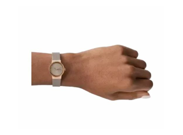 Skagen SKW3005, фото 4 | Интернет-магазин оригинальных часов и аксессуаров