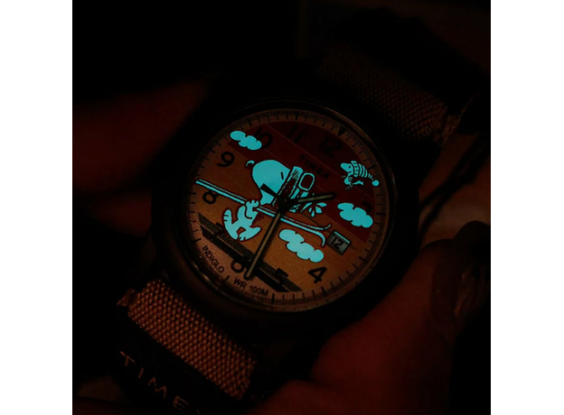TIMEX Tx4b34900 PEANUTS Expedition Ski Camper, фото 4 | Интернет-магазин оригинальных часов и аксессуаров