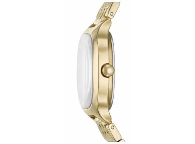 Skagen SKW3162, фото 2 | Интернет-магазин оригинальных часов и аксессуаров