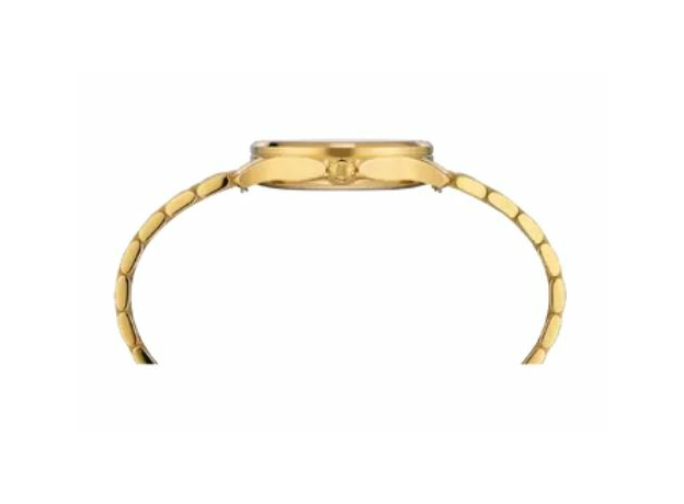 CERTINA C045.010.33.361.00 DS-8 Lady 31mm, фото 2 | Интернет-магазин оригинальных часов и аксессуаров