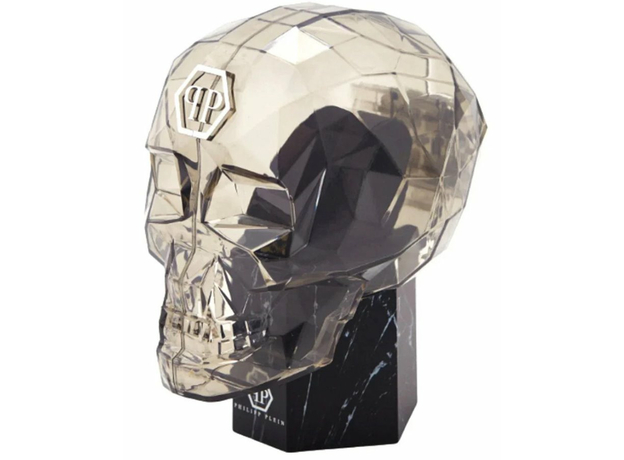 Philipp Plein Ppwyfa0225 DATE SUPERLATIVE, фото 5 | Интернет-магазин оригинальных часов и аксессуаров