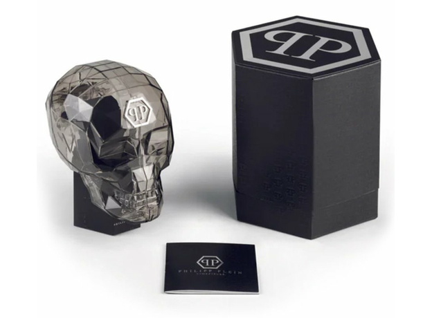 Philipp Plein Ppwmfa0925 DATE SUPERLATIVE GENT, фото 6 | Интернет-магазин оригинальных часов и аксессуаров