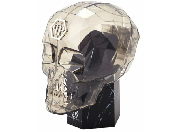 Philipp Plein Ppwmfa1025 DATE SUPERLATIVE GENT, фото 4 | Интернет-магазин оригинальных часов и аксессуаров