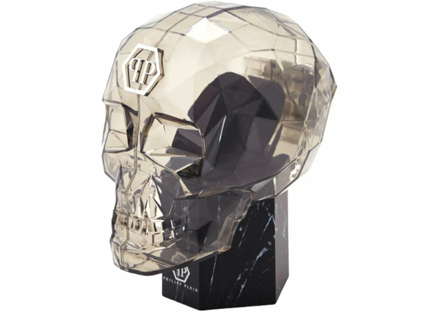 Philipp Plein Ppwzfa0125 ICON CHAIN, фото 5 | Интернет-магазин оригинальных часов и аксессуаров