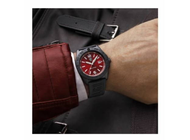 Luminox  XS.3135.B, фото 2 | Интернет-магазин оригинальных часов и аксессуаров