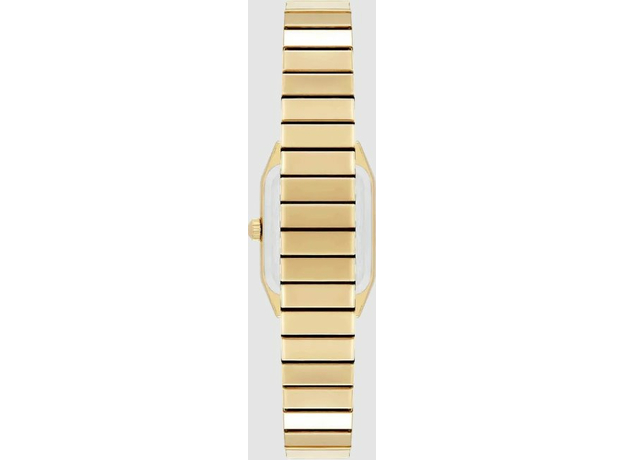 ANNE KLEIN AK/5364MPGB, фото 2 | Интернет-магазин оригинальных часов и аксессуаров