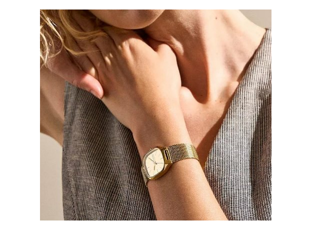 Skagen SKW3164, фото 5 | Интернет-магазин оригинальных часов и аксессуаров