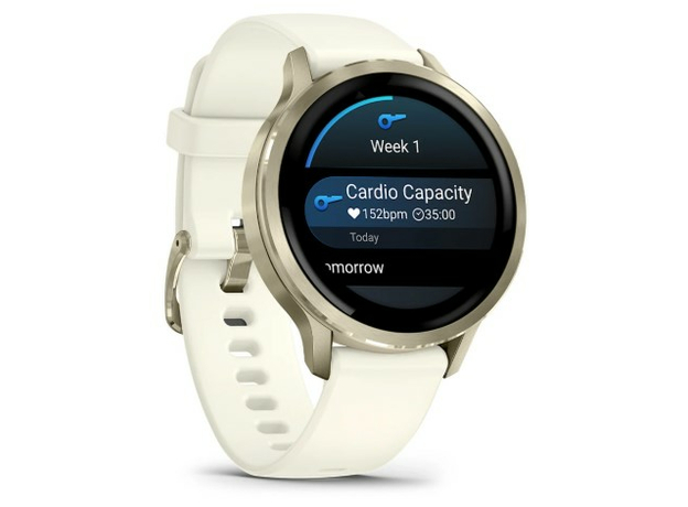 Garmin 010-03013-00 Lunar Gold, фото 3 | Интернет-магазин оригинальных часов и аксессуаров