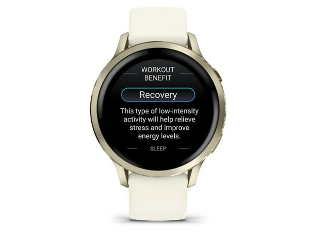 Garmin 010-03013-00 Lunar Gold, фото 6 | Интернет-магазин оригинальных часов и аксессуаров