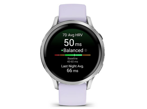 Garmin 010-03013-01 Silver, фото 2 | Интернет-магазин оригинальных часов и аксессуаров
