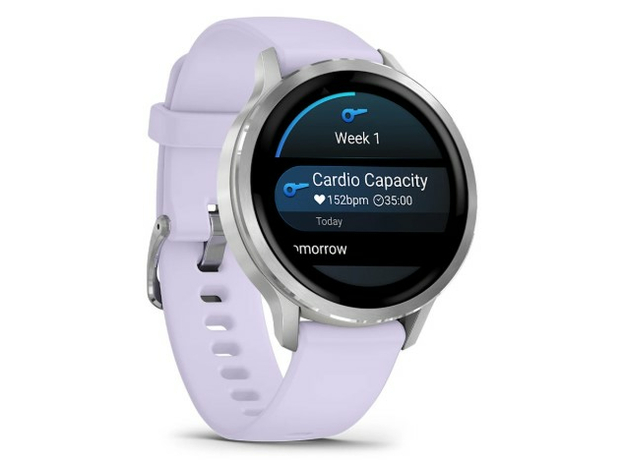 Garmin 010-03013-01 Silver, фото 3 | Интернет-магазин оригинальных часов и аксессуаров