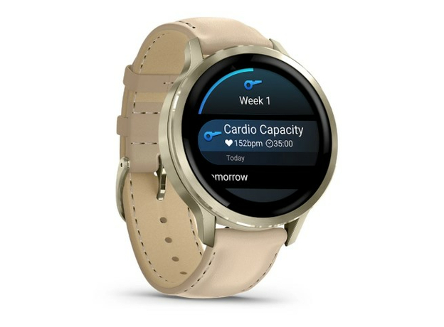 Garmin 010-03013-03 Lunar Gold, фото 3 | Интернет-магазин оригинальных часов и аксессуаров
