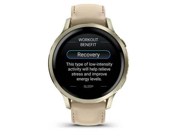 Garmin 010-03013-03 Lunar Gold, фото 6 | Интернет-магазин оригинальных часов и аксессуаров