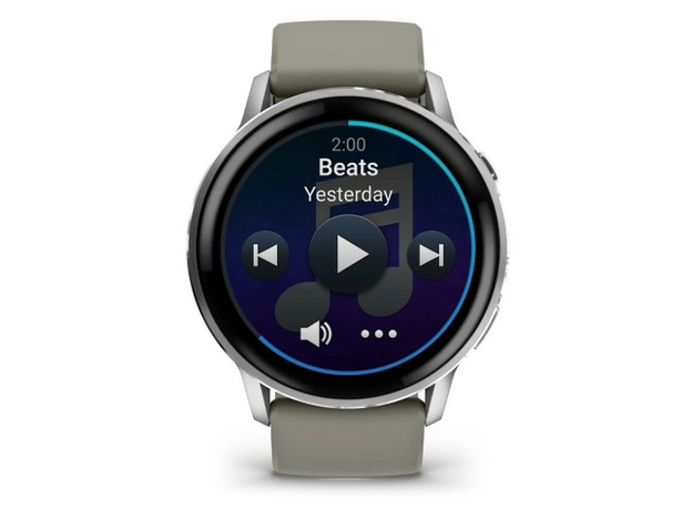 Garmin 010-03014-01 Silver, фото 5 | Интернет-магазин оригинальных часов и аксессуаров