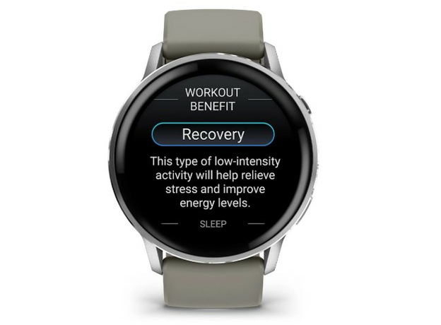 Garmin 010-03014-01 Silver, фото 7 | Интернет-магазин оригинальных часов и аксессуаров