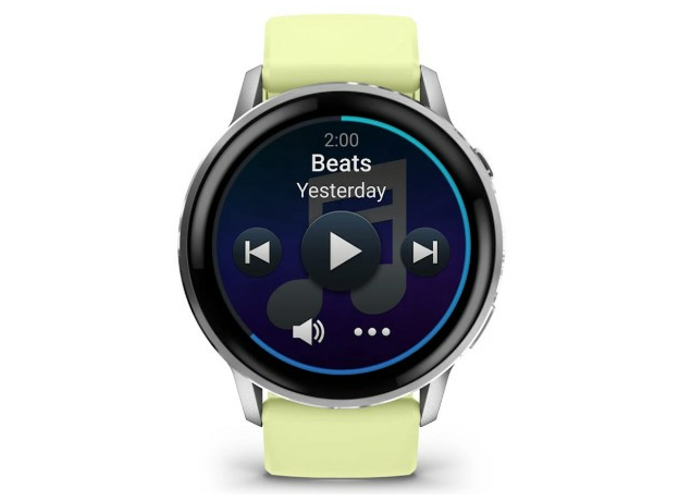 Garmin 010-03014-02 Silver, фото 4 | Интернет-магазин оригинальных часов и аксессуаров