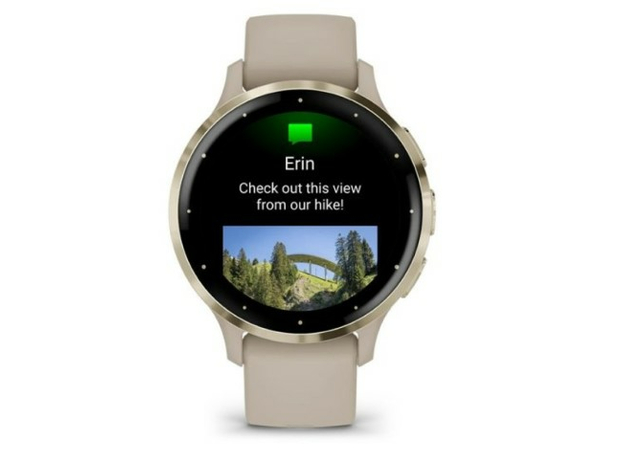 Garmin Silver 010-02785-02 Soft Gold Stainless Steel Bezel, фото 4 | Интернет-магазин оригинальных часов и аксессуаров