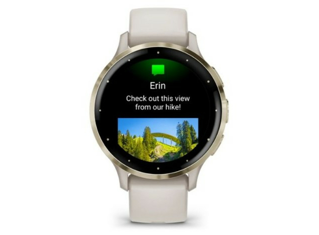 Garmin Silver 010-02785-04 Soft Gold Stainless Steel Bezel, фото 4 | Интернет-магазин оригинальных часов и аксессуаров