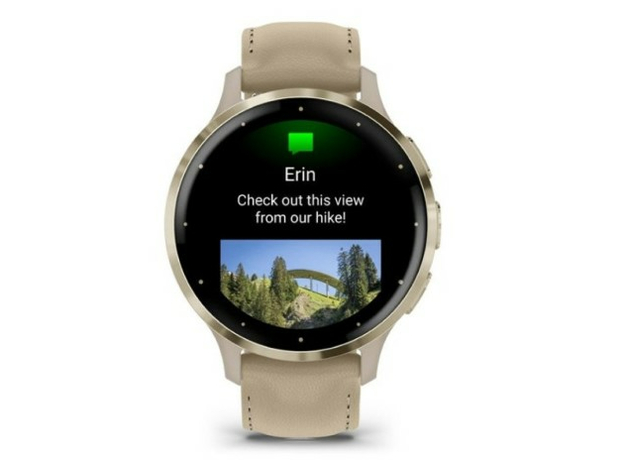 Garmin 010-02785-55 Soft Gold Stainless Steel Bezel, фото 4 | Интернет-магазин оригинальных часов и аксессуаров