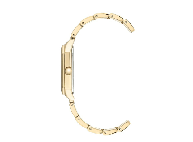 ANNE KLEIN AK/3774MPGB, фото 3 | Интернет-магазин оригинальных часов и аксессуаров